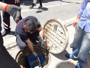 İtfaiyeden Yavru Kedi Kurtarma Operasyonu