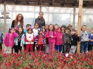 Keçiören’de Minik Eller Tohumları Toprakla Buluşturdu
