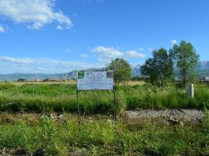Muş’ta Telli Turna Ve Toyların Korunması İçin Uyarı Levhaları Konuluyor