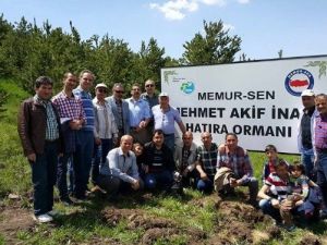 Memur Sen Kurucu Başkan Mehmet Akif İnan Anısına 14 Bin Fidan Dikti