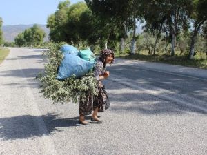 Aydın'lı Sevgihan Teyze’nin Hayat Mücadelesi