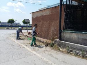 Sanayi Mahallesinde Çevre Düzenlemesi Yapıldı