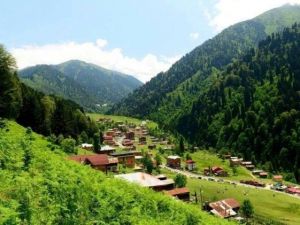 Doğu Karadeniz’de Turizm Eğitimi Yetersiz