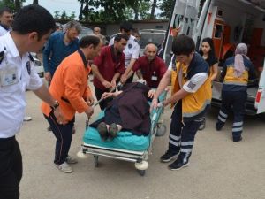 Fatsa’da Trafik Kazası: 5 Yaralı