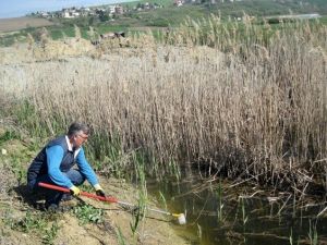 Gelibolu Belediyesi Sinekle Mücadeleye Devam Ediyor