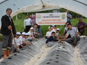 Kütahya’da Lider Çocuk Tarım Kampı Sona Erdi