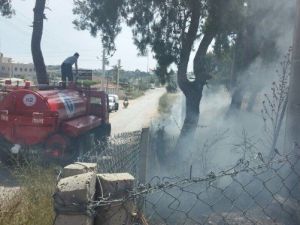 Ormanlık Alandaki Yangın, Ağaçlar Zarar Görmeden Söndürüldü