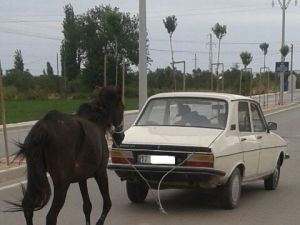 Karayolunda İlginç Görüntü