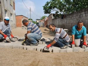 Hacı Ali Obası Çamurdan Kurtuluyor