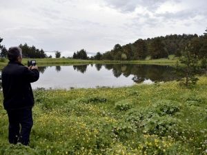 Gümüşhaneli Dağcılar Limni Gölüne Kamp Kurdu