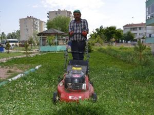 Bünyan Belediyesi Bütün Park Ve Mezarlıkları Temizledi