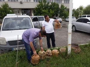 Iğdır’da Kaçak Keklik Avcısına Ceza