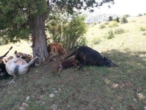 Isparta’da Yıldırım Düştü