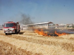 Adıyaman’da 80 Dönümlük Tarla Kül Oldu