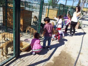 Didimli Minikler, Hayvan Barınağı'nı Ziyaret Etti