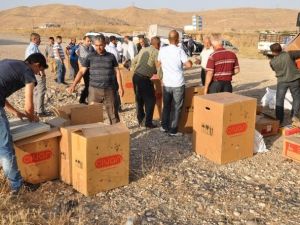 Cizre’de Arı Yetiştiricilerine Arılı Kovan Dağıtıldı