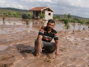 Yozgat’ta Dolu Ekili Alanlara Zarar Verdi