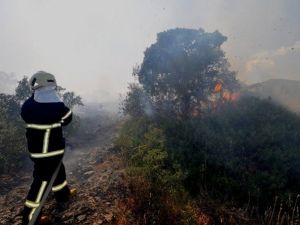 Bodrum’da Makilik Alanda Çıkan Yangın Korkuttu