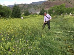 Koyulhisar’da Temizlik Çalışmaları Sürüyor