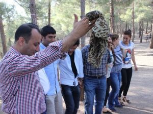 Aspim Personeli Piknikte Eğlendi