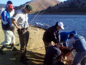Topçam Baraj Gölü’nde Su Ürünleri Avcılığı Denetimi Yapıldı