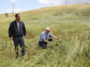 Kırıkkale’de Sağanak Ve Dolu Yağışının Yaraları Sarılıyor