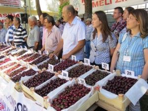 En İyi Kirazlar Pazar Günü Belirlenecek