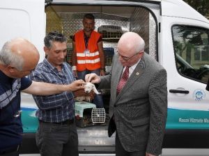 Sokak Hayvanları İçin Yeni Araç