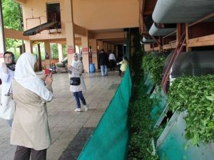 Türk Çayına Arap İlgisi