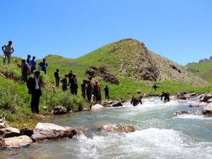 Çatak’ta Dereye Düşerek Kaybolan Kadının Arama Çalışmaları Devam Ediyor