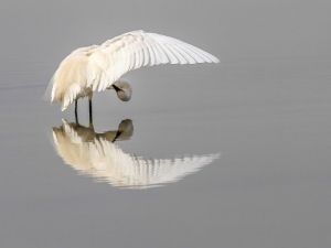 Doğaseverler, ’Cennet’i Hem Çizdi Hem Fotoğrafladı