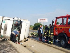 Tekirdağ’da İçki Yüklü Tır Yola Çıkan Domuz Nedeniyle Devrildi