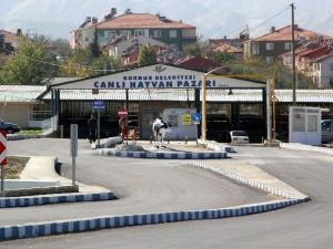 Burdur’da Canlı Hayvan Pazarı Tekrar Açılıyor