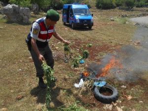 Mersin’de Uyuşturucu Operasyonu