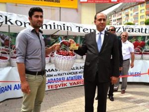 Amasya’da Kirazlar Yarıştı