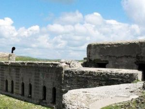 Kars’ta Tarihi Tabyalar Hayvanlara Ev Sahipliği Yapıyor