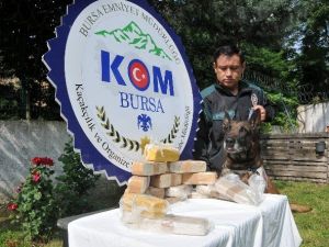 Bursa’da 7.5 Kilo Eroin İle Yakalanan 3 Kişi Tutuklandı