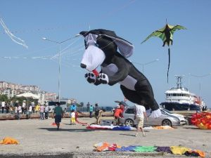 Sinop’ta Uçurtmalar Çevre Bilinci İçin Uçuruldu