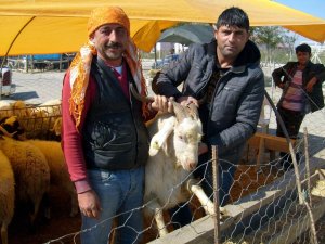 Kurban pazarında yaprak kımıldamıyor