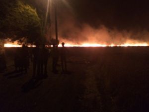 Havai Fişek 250 Hektarlık Buğday Tarlasını Küle Çevirdi