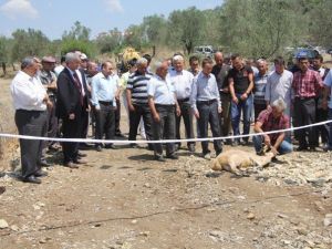 Bahadınlı’da Köprü Sevinci