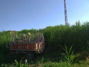 Diyarbakır’da Kaçak Trafo Ele Geçirildi