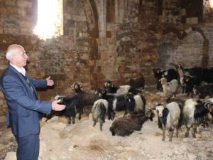 1500 Yıllık Tarihi Manastır Ahır Oldu