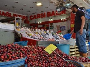 Balıkçılar Ramazan Ayından Umutlu