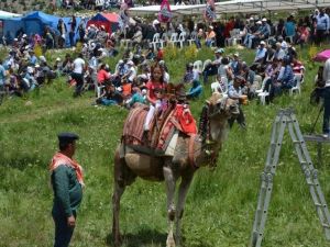 Yörükler Aziziye Yaylası’nda Buluştu