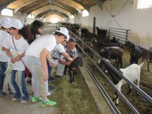 Lider Çocuk Tarım Kampı Düzenlendi