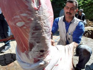 Aydın’ın 'Acemi Kasapları' ustalaştı