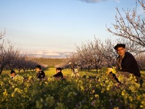 "Yeşilyurt Her Mevsim Güzel" İlkbahar Fotoğraf Yarışması Tamamlandı