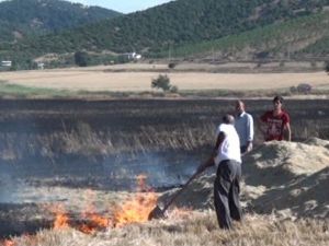 Bin Dönümlük Buğday Tarlası Kül Oldu