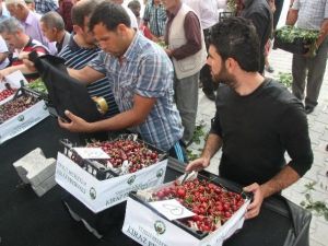 11. Yeşilli Uluslararası Kiraz Ve Kültür Festivali Başladı